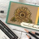 インクとスタンプで自由に描く！誰でも簡単に絵が完成の講座の風景