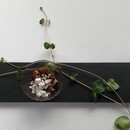 簡単料理を超簡単に高見えさせる「器」の使い方の講座の風景