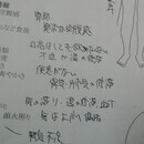 ピヨの漢方の講座の風景