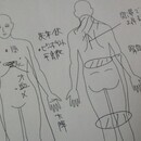 ピヨの漢方の講座の風景