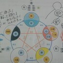 ピヨの漢方の講座の風景