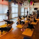 的確なマンツーマン指導で"なりたい"体を作るの講座の風景