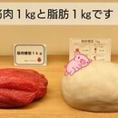 もう食べるの怖くない！食べて引き締まる！食べ活講座の講座の風景