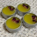 Masora roseの講座の風景