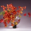 XIKA Omotesando / 東京・表参道の生け花教室・フラワーアレンジメント教室の開催する講座の風景