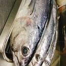 とにかく実践していただきます。の講座の風景