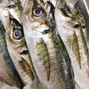 とにかく実践していただきます。の講座の風景