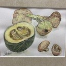 大人だから表現出来る水彩画、色鉛筆画講座の講座の風景