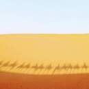 107カ国を旅した添乗員とオンラインで海外旅行🛫　の講座の風景