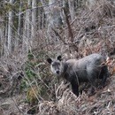 山の楽しさをご自分に合ったレベルでお伝えします！の講座の風景