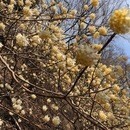 山の楽しさをご自分に合ったレベルでお伝えします！の講座の風景