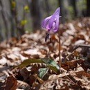 山の楽しさをご自分に合ったレベルでお伝えします！の講座の風景