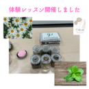 充実したQOLのためのハーブ・アロマ・サプリメントの講座の風景