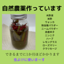 充実したQOLのためのハーブ・アロマ・サプリメントの講座の風景