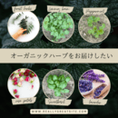 充実したQOLのためのハーブ・アロマ・サプリメントの講座の風景