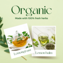 充実したQOLのためのハーブ・アロマ・サプリメントの講座の風景