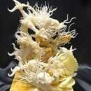 カービングアトリエSHIRAKIの講座の風景