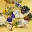 初心者歓迎のお花の講座の講座の風景