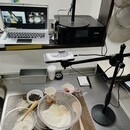 初心者お一人お一人に寄り添った時短パン教室の講座の風景