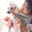 家族であるワンちゃんとの時間を大切にしている方への講座の風景