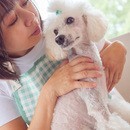 家族であるワンちゃんとの時間を大切にしている方への講座の風景