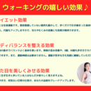 Allesbitte アレスビッテの開催する講座の風景