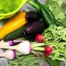 野菜と発酵で美味しく健康にの講座の風景