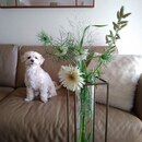 s-sense-candlesの講座の風景