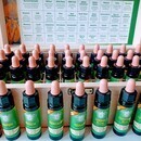 豪政府認定ナチュロパスが贈る自然軸で生きる健康革命の講座の風景