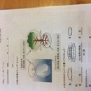 ミラクルtakaのマヤ暦占い🔮で人生が変わる^_^の講座の風景