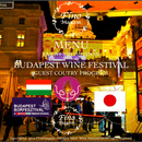 ヨーロッパ世界遺産都市ドナウの真珠ブダペストからハンガリーワイン🍷プライベートレッスンの開催する講座の風景