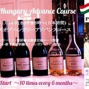 ヨーロッパ世界遺産都市ドナウの真珠ブダペストからハンガリーワイン🍷プライベートレッスンの開催する講座の風景
