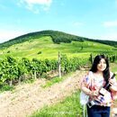 ヨーロッパ世界遺産都市ドナウの真珠ブダペストからハンガリーワイン🍷プライベートレッスンの開催する講座の風景