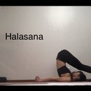 relax yogaの講座の風景