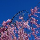 いっしょに写真を楽しみましょう！の講座の風景