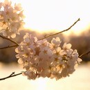 いっしょに写真を楽しみましょう！の講座の風景