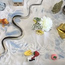 ココロアロマサロン to beの講座の風景