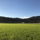 瞑想テクニックで日々のパフォーマンスアップ！の講座の風景