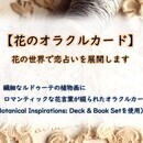 はじかのタロット教室の講座の風景