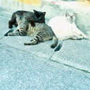写真を趣味にしたい！もっと写真を上手く撮りたい!!の講座の風景