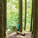 豊かな自然の中で癒しのハンモックチェアづくりの講座の風景