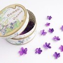 日常を彩ろう！の講座の風景