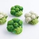 日常を彩ろう！の講座の風景