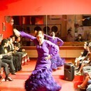 シューズなしで踊る！フラメンコの講座の風景