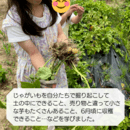 お子様のわくわくポイントを見つけるお野菜教室の講座の風景