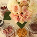 ひだまりハーブガーデン＆スクールの講座の風景