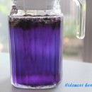 ひだまりハーブガーデン＆スクールの講座の風景