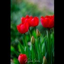 写真家の裏技を伝授します。の講座の風景