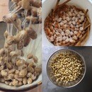 ゴミの少ない循環する暮らしの講座の風景