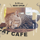 実践デザインスクールDesignToastの開催する講座の風景